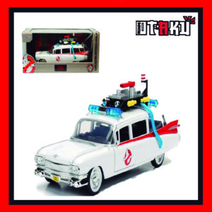 Figura Ecto 1